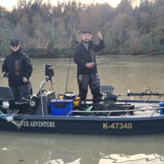 HY 5.0 FISH SC.