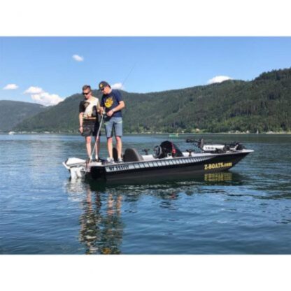 Geführte Angelausflüge / Guiding am Fluss und See – Bild 2