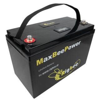 Rigbee MaxBeePower 12V100Ah LiFePo4