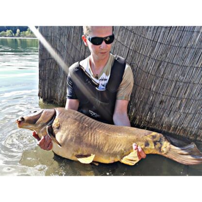 Geführte Angelausflüge / Guiding am Fluss und See – Bild 15
