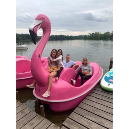 Colano Flamingo – Bild 5