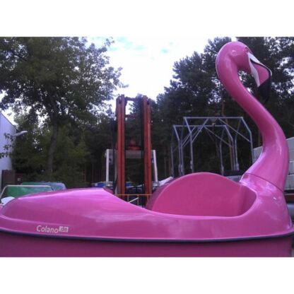 Colano Flamingo – Bild 10