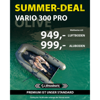 Vario 300 PRO olivgrün