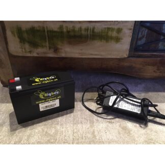 Rigbee LiFePo4 Akku 12V 9Ah
