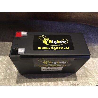 Rigbee LiFePo4 Akku 12V 9Ah – Bild 2