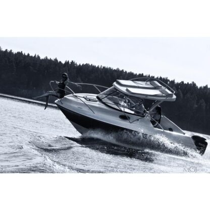 Pegazus Esacapade 600 Suntop – Bild 28