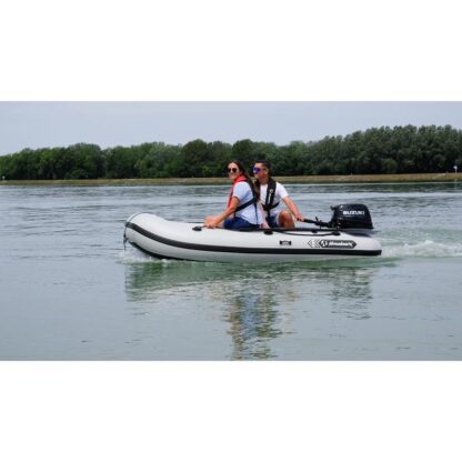 Vario 300 PRO grau – Bild 4
