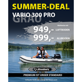 Vario 300 PRO grau