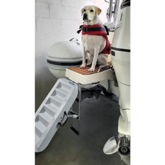 Paws Up Badeleiter für Hunde