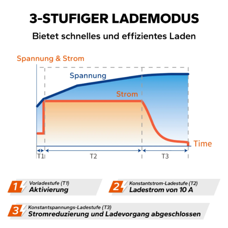 LiTime 14.6V 10A Lithium Batterieladegerät für 12V LiFePO4 Lithium Batterie – Bild 3